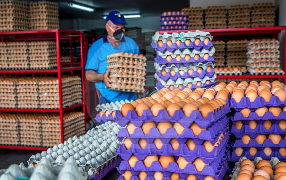 SE BUSCA PERSONAL CON EXPERIENCIA EN EMPACADO PARA EL AREA DE HUEVOS