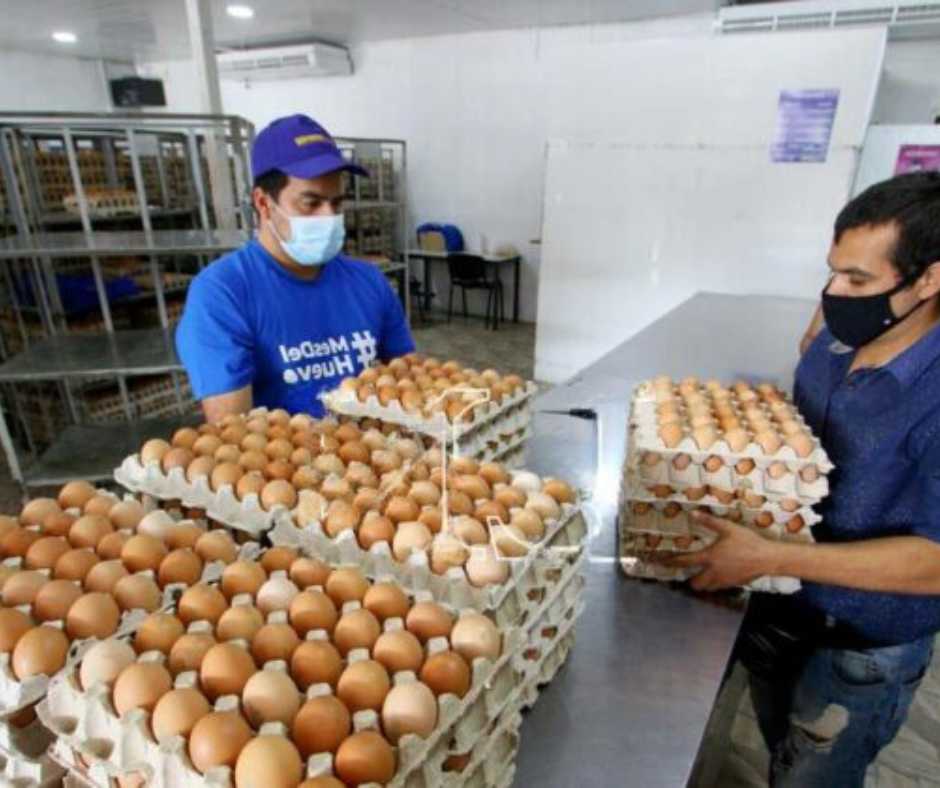 SE BUSCA PERSONAL PARA PODER EMPACAR HUEVOS FULL TIME | EMPLEOS 2026